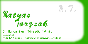 matyas torzsok business card